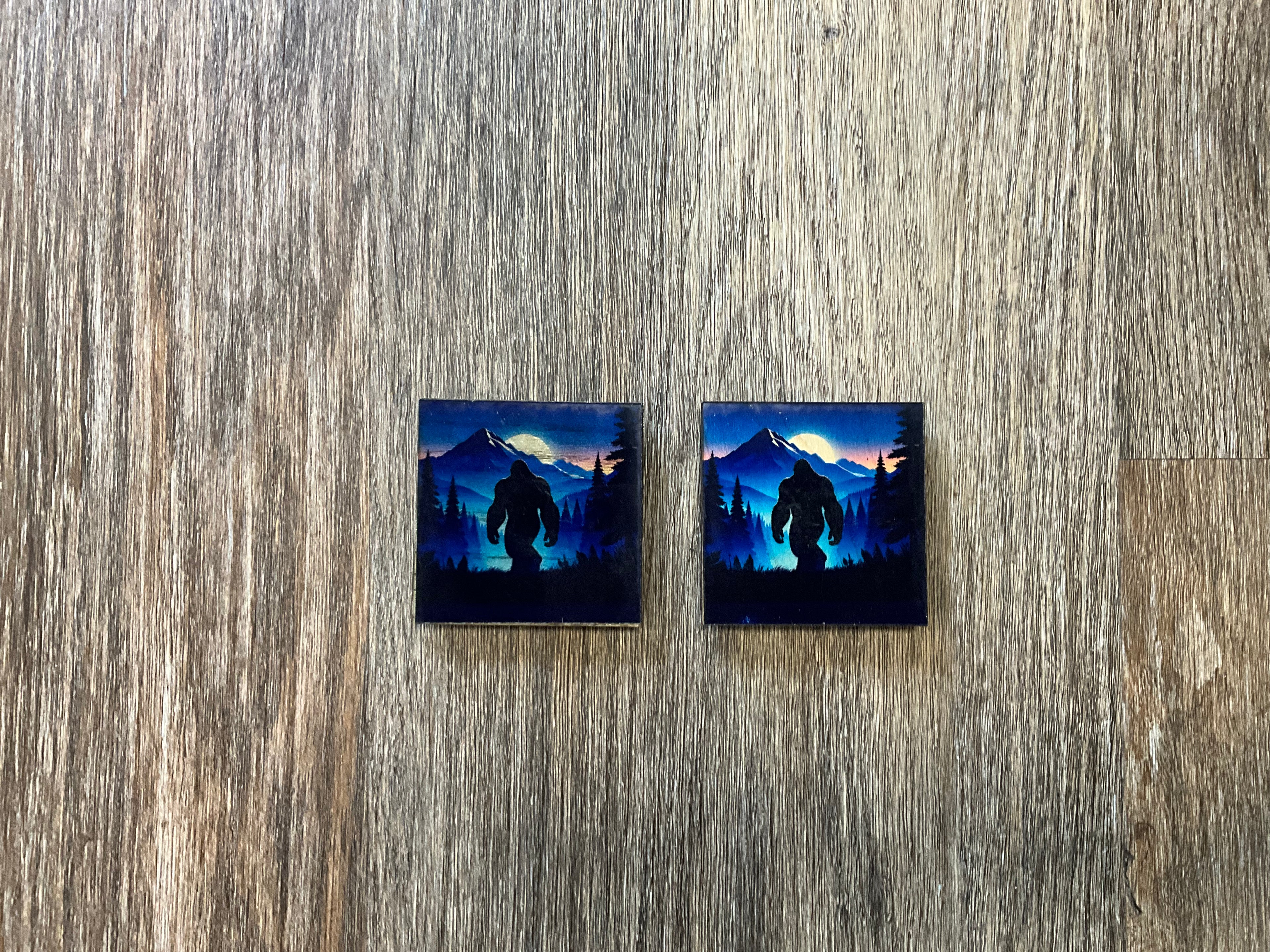 2x2 bigfoot magnets