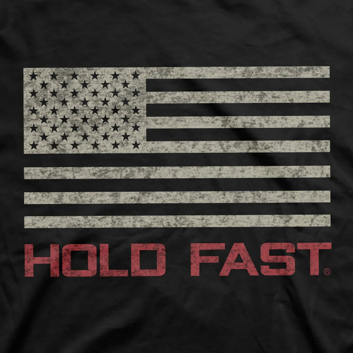 HOLD FAST Freedom Fighter Eagle Men's T-Shirt
