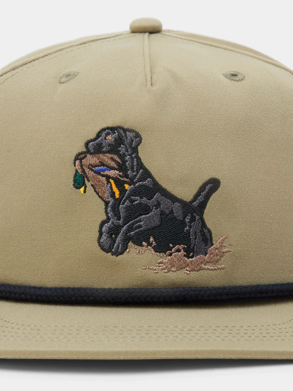 Black Lab Hat